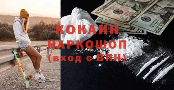 мдпв Каменка