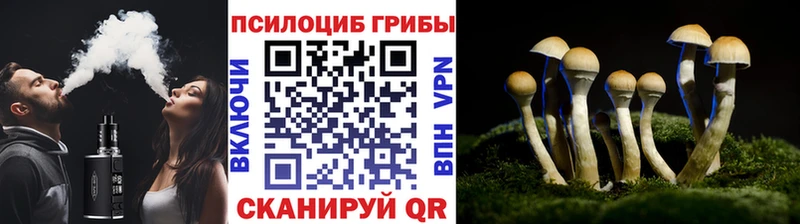 Псилоцибиновые грибы ЛСД Минеральные Воды