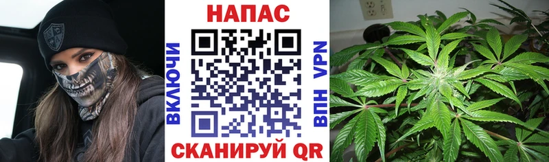купить наркотик  дарк нет состав  Марихуана AK-47  Минеральные Воды 